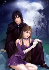 重生之帝妃